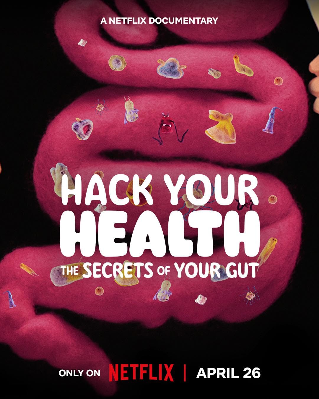 hack your health_IMDB