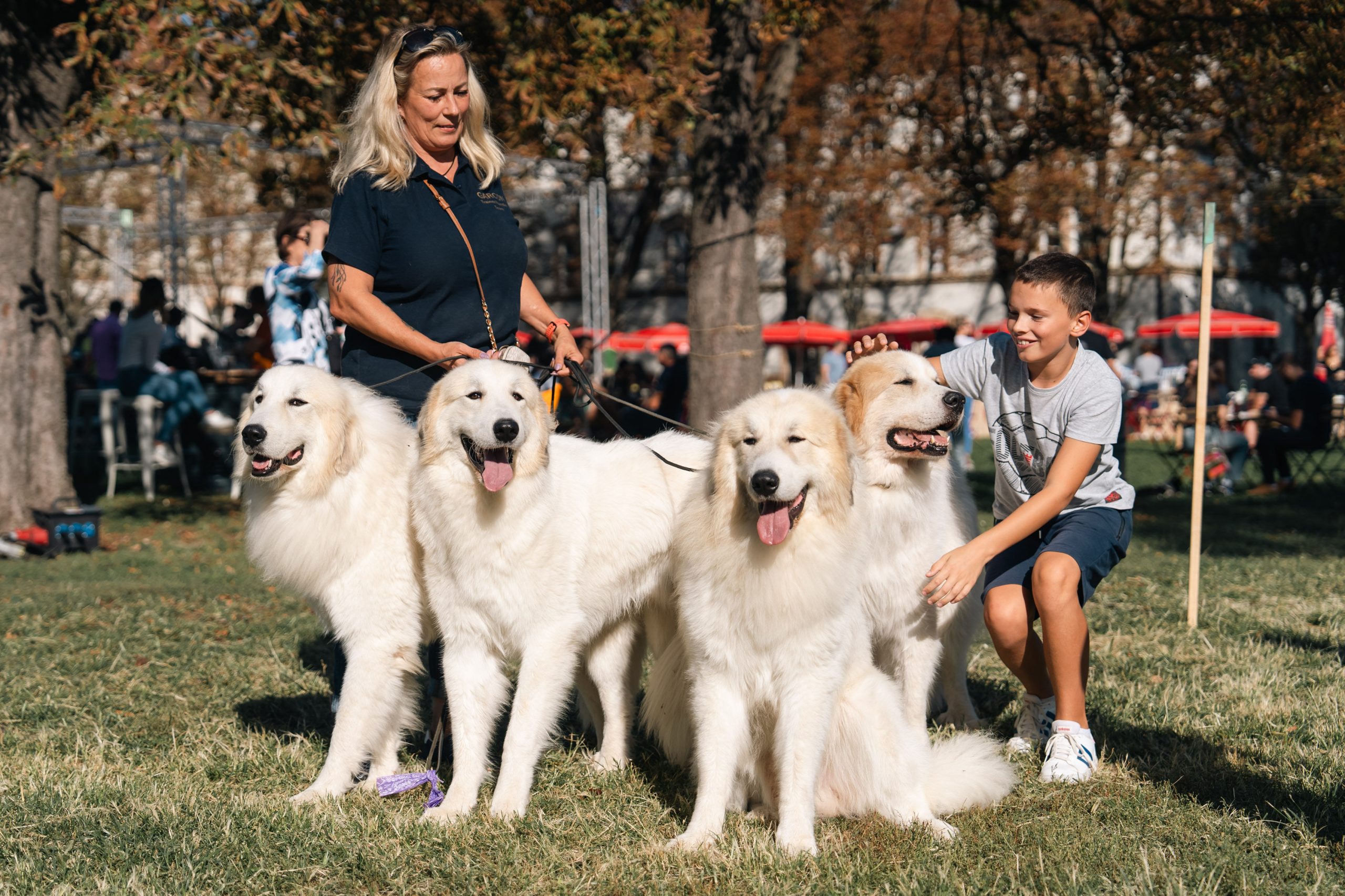 Festival pasa svih rasa 2024