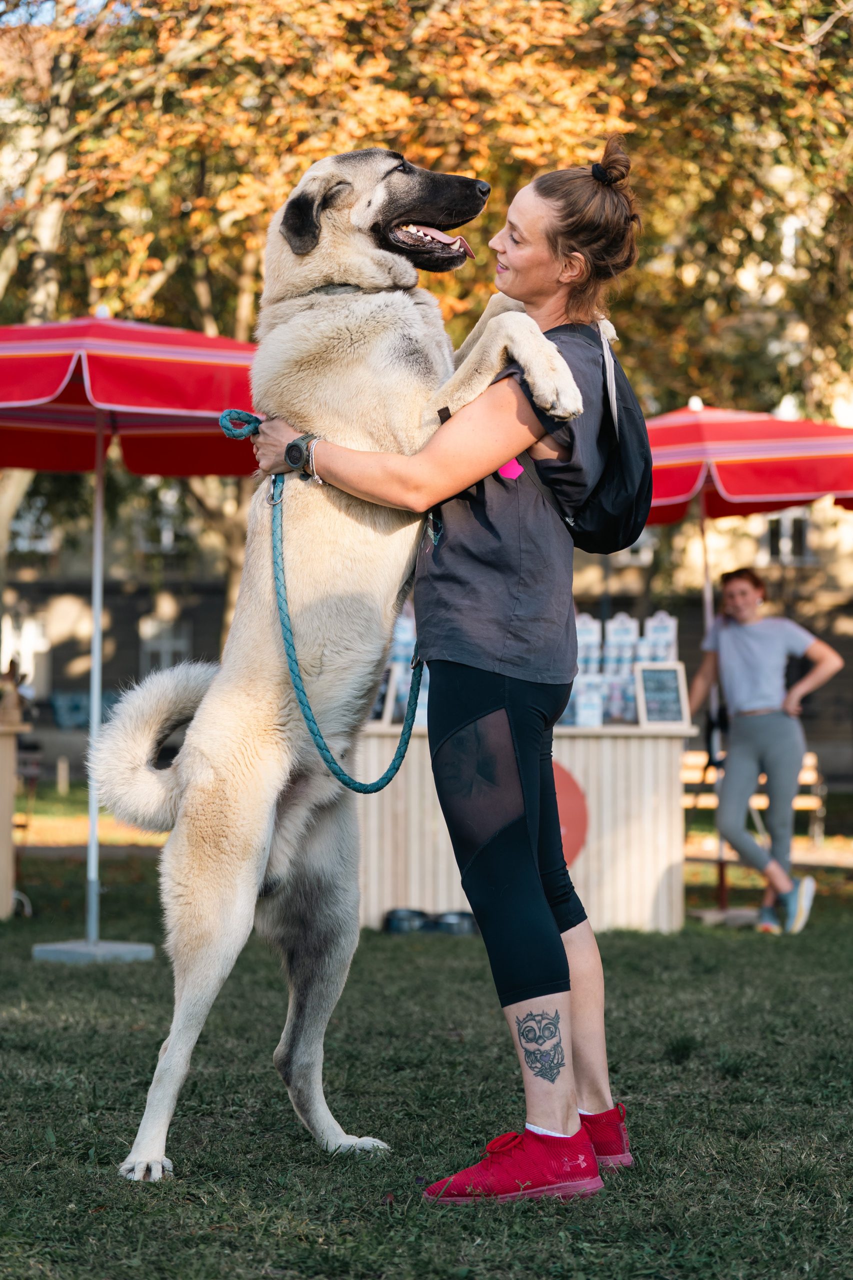 Festival pasa svih rasa 2024